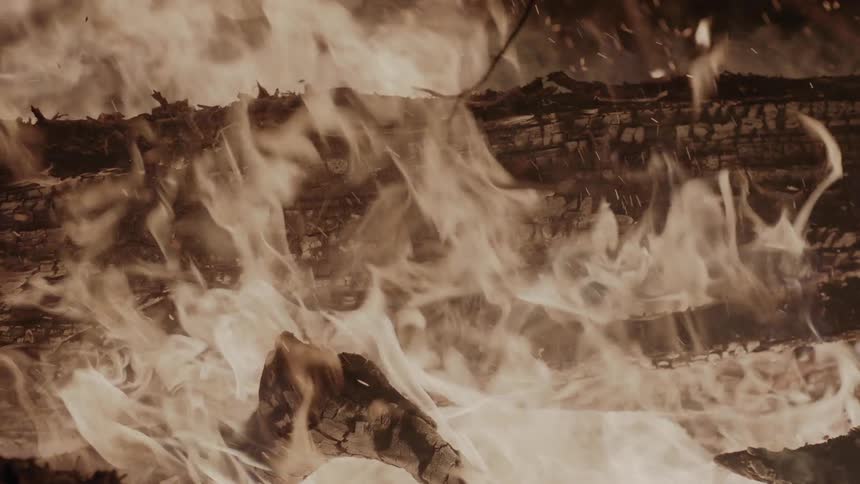 Flames and embers rise from burning logs