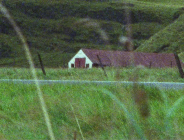 Grass stalks sway in wind in field across road from farm nestled at foot of hill