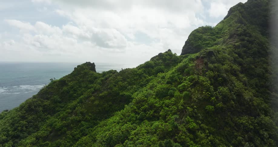 Forest covered mountains overlook ocean under a cloudy sky
