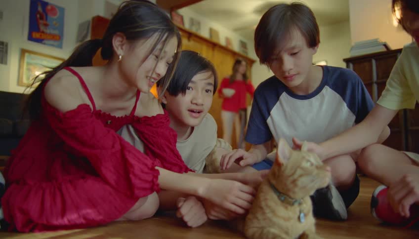 Four kids sit on the floor and pet a cat as a woman in the background puts dishes out