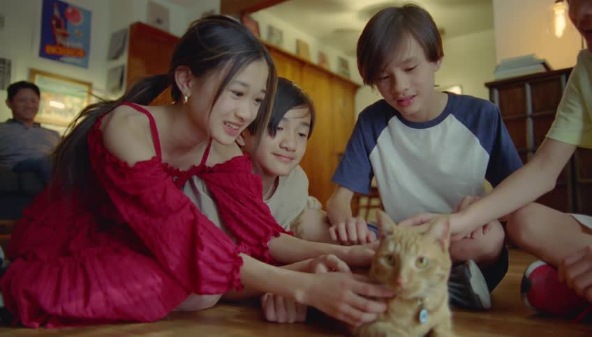Siblings sit on the floor and pet their orange cat