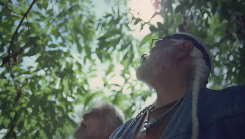 Two men are standing outside under trees looking up as the sun shines on the leaves as they move in the breeze