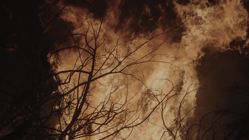 Flames rising into the night sky as a pile of branches burns