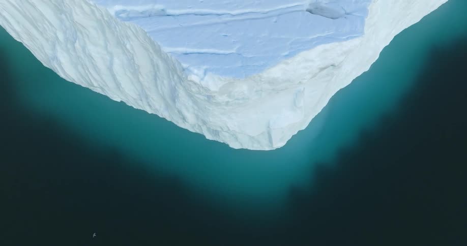 Bird flies around corner of ice shelf towering over reflective water