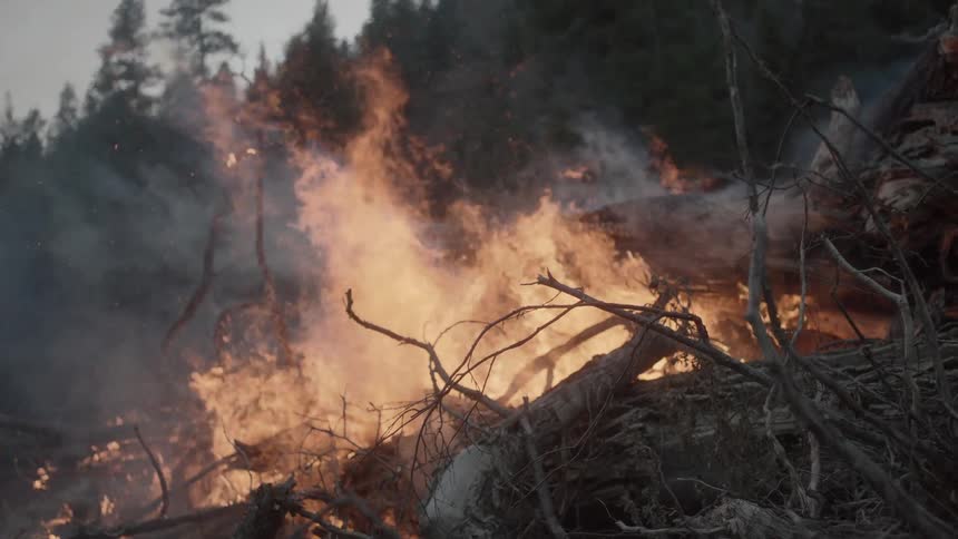 A large fire is burning a stack of trees