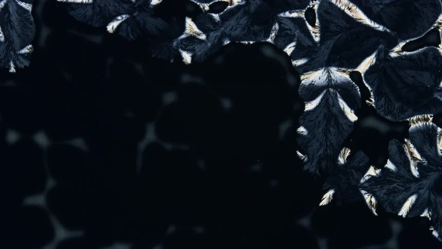 A view of crystals forming