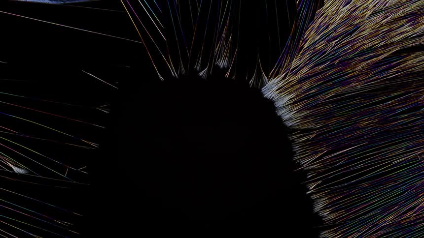 A black surface shrinks and disappears as it is covered in a feathering design of spreading ice