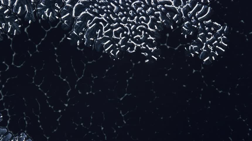 Hairline cracks form across a sheet of ice with organic structure