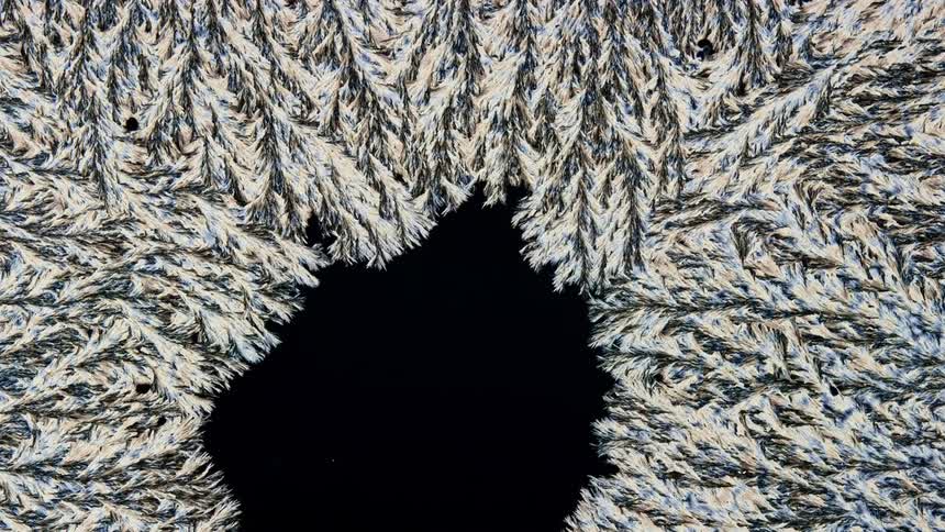 A branching pattern spreads and covers a dark black surface