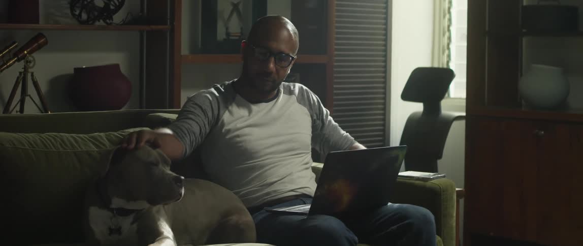 Man with shaved head glasses sweatshirt and jeans sits on green couch patting dog in living room at home