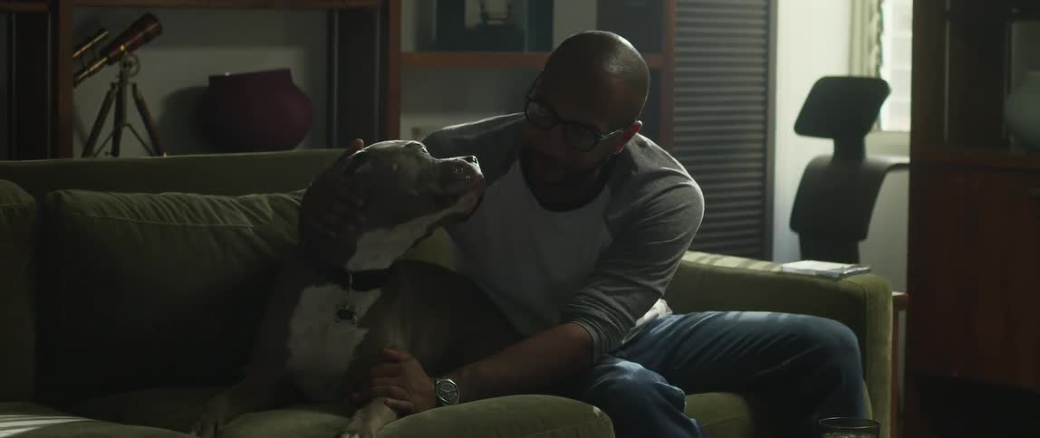 Man with shaved head sweatshirt and jeans pats and kisses dog sitting on green couch in the living room