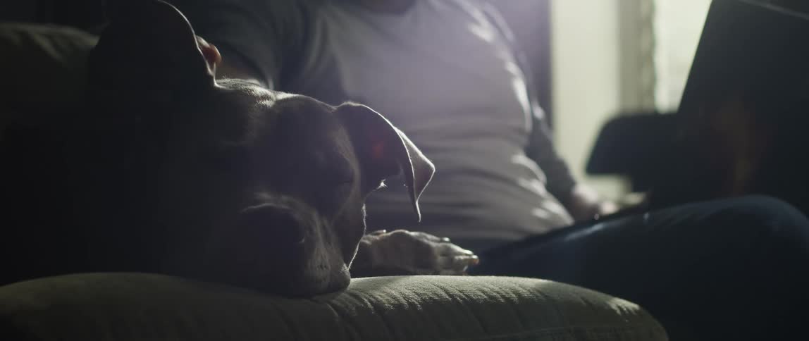 A man is sitting on a couch and petting his dog