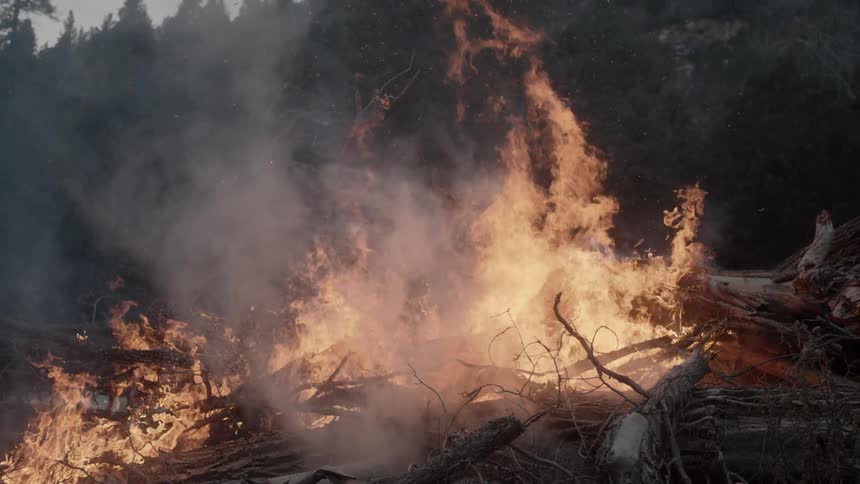 A large fire is raging near a forest