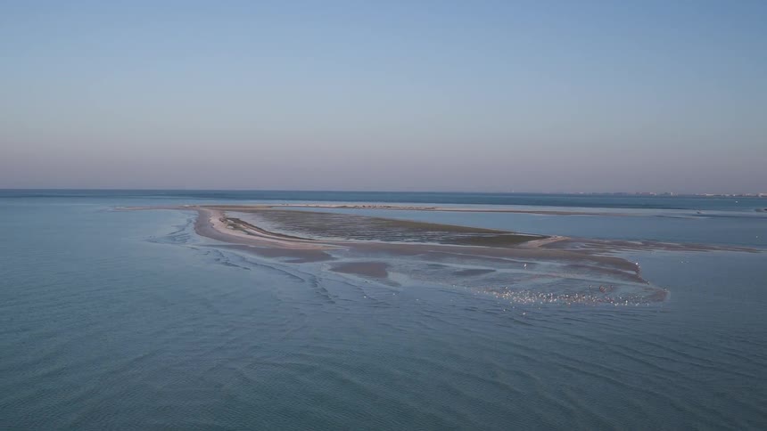 Birds fly over the water that surrounds a patch of land