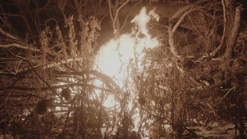 Fire is thrown on a brush pile that quickly ignites