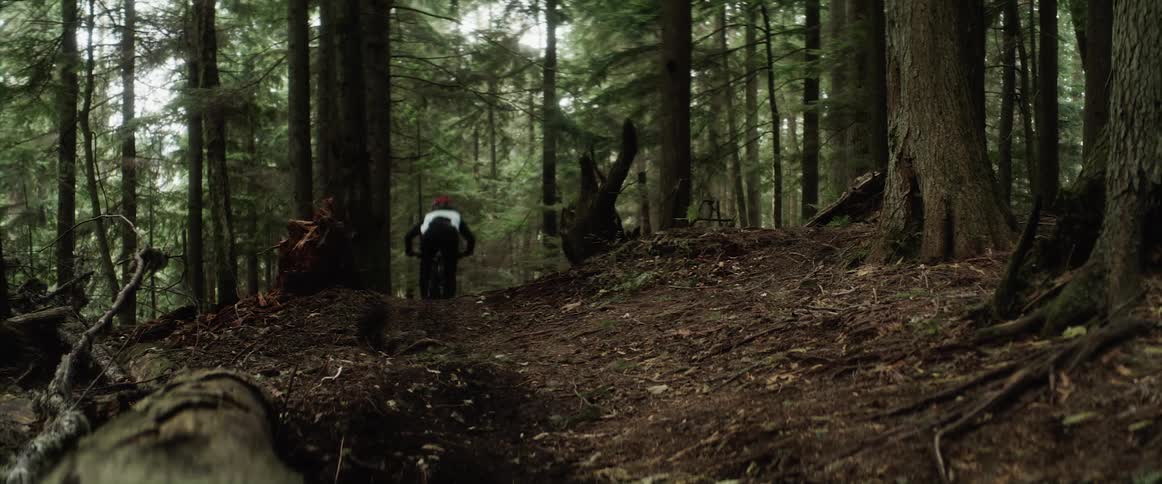 A person mountain bikes through a forest