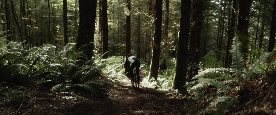 A person mountain bikes down a hill in a forest