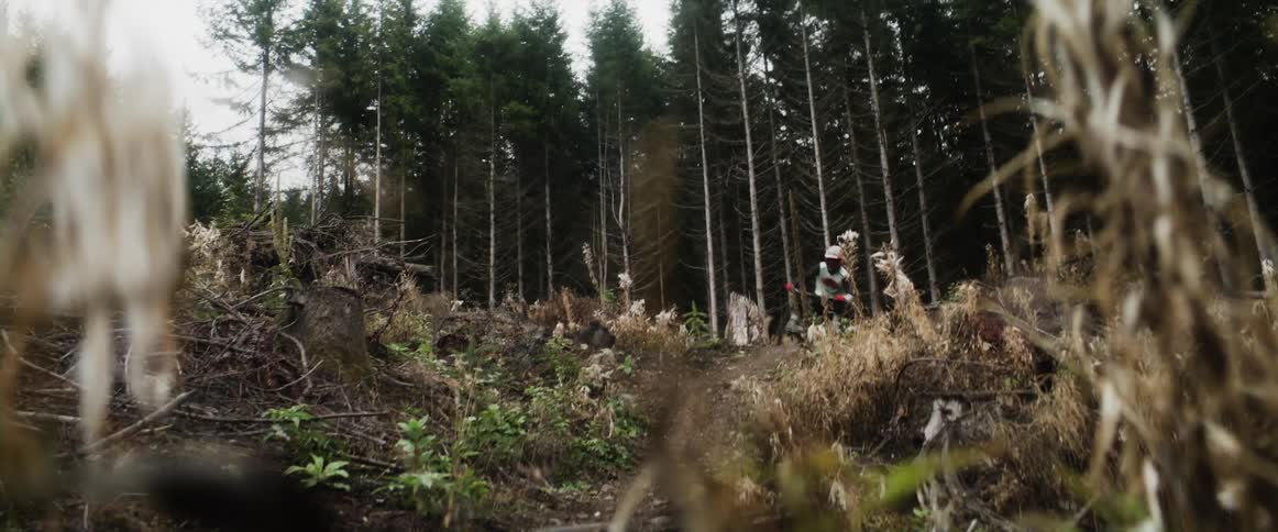 A cyclist does a trick in the air after riding up a small hill on a dirt trail in a woodland on a cloudy day