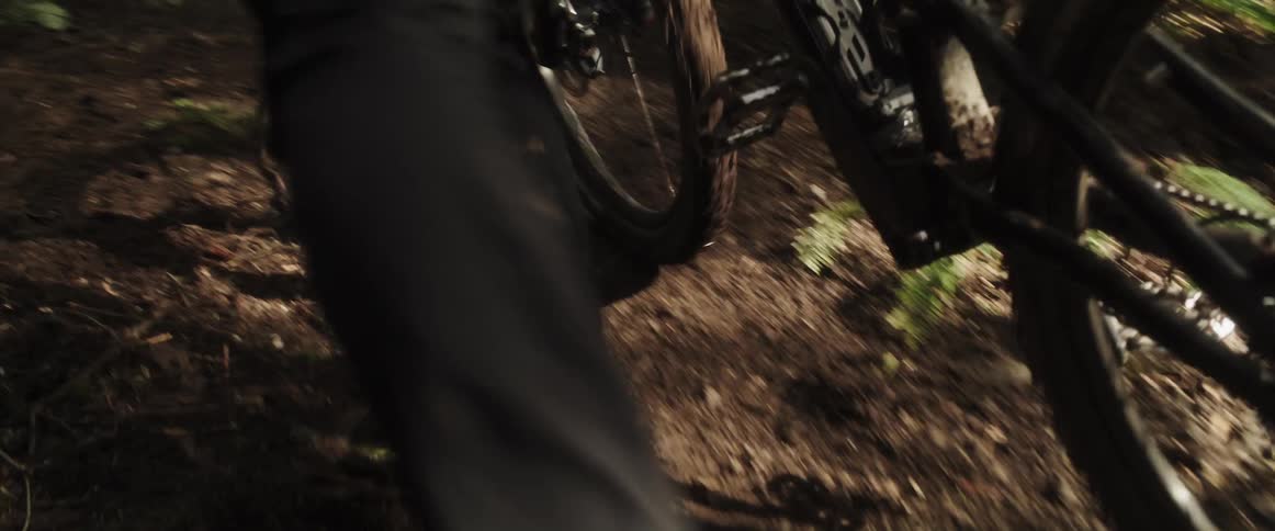 A cyclist pushes a bicycle through a narrow trail in the woods