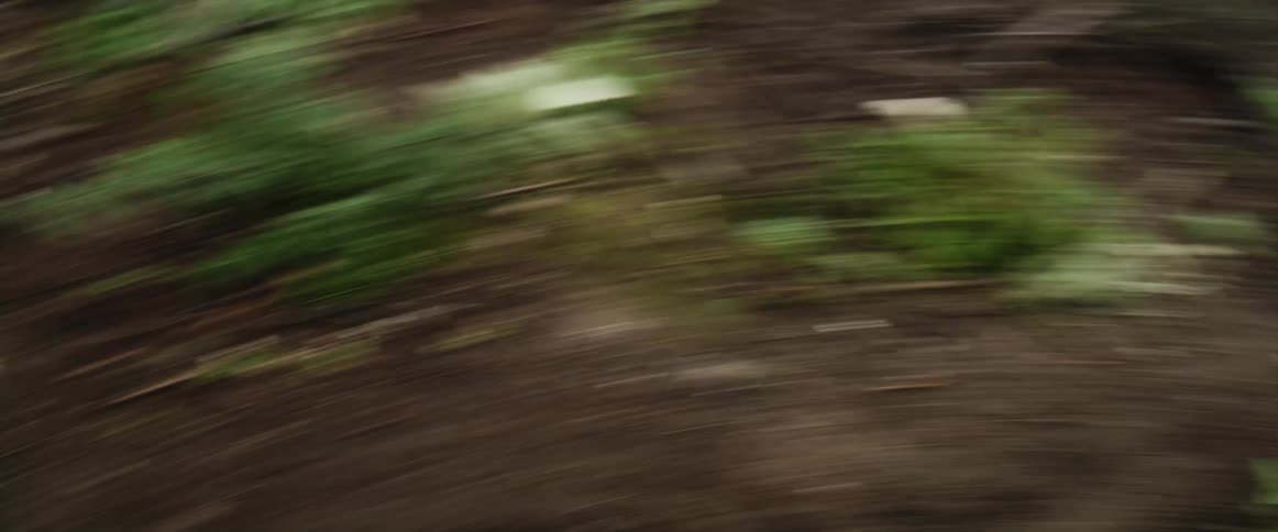 A person mountain bikes down a hill in a forest