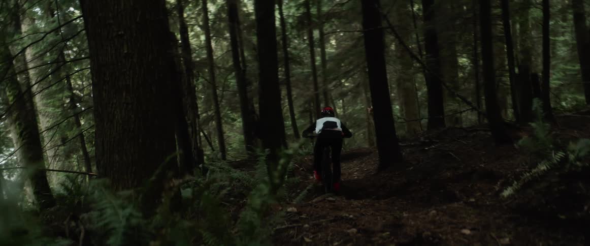 A view of a person riding a bike down a hill