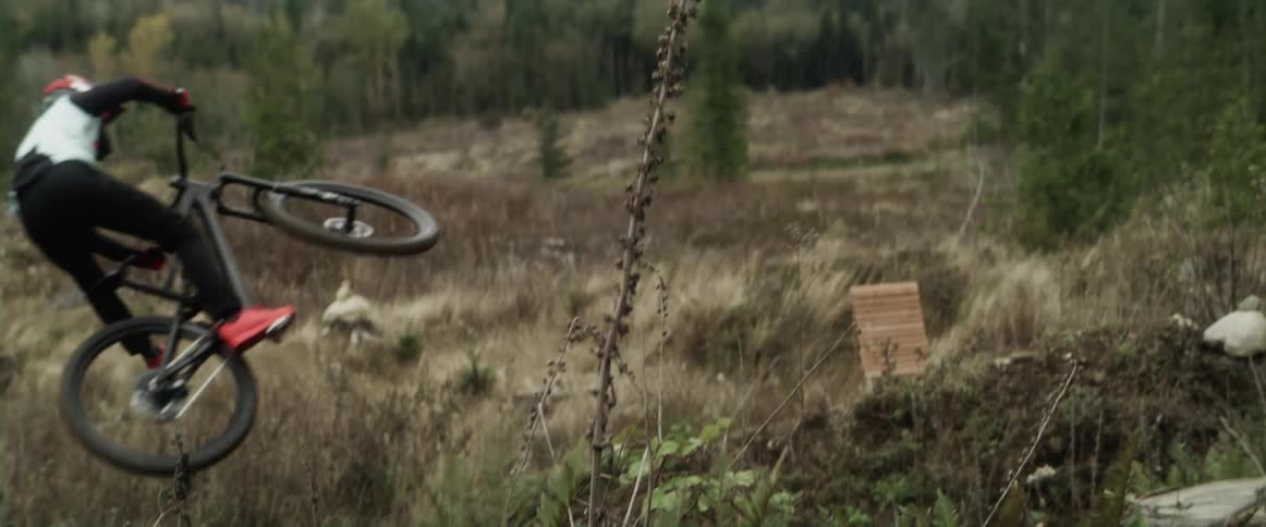 A cyclist flies over a hill in the woods and turns in mid air and there are mountains in the distance