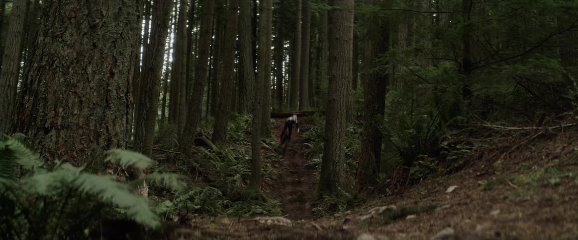 A person mountain bikes in a forest