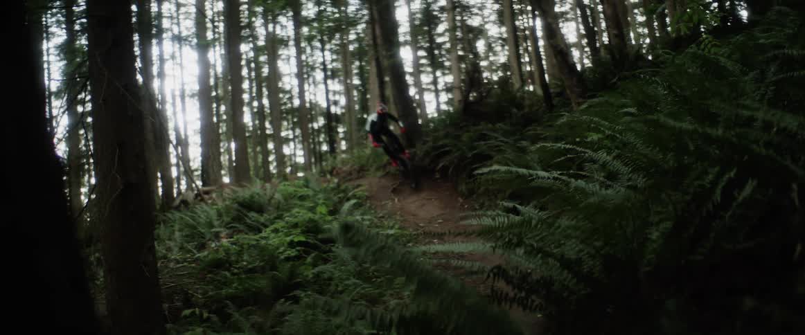 A cyclist is riding a mountain bike through a forest of trees and leaps over a hill and down a trail