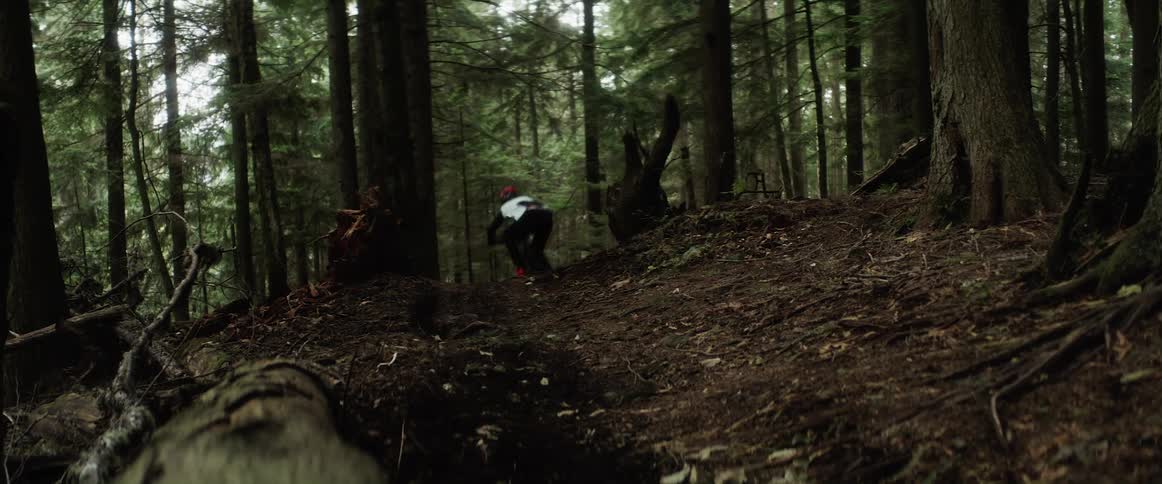 A cyclist rides a bicycle along a dirt trail through a woodland at high speed during the day