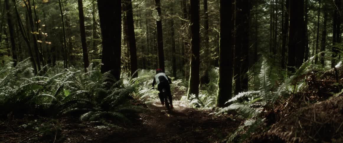 A person riding a mountain bike in the forest