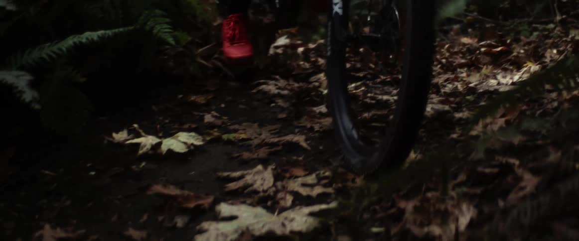 A person is riding their mountain bike downhill