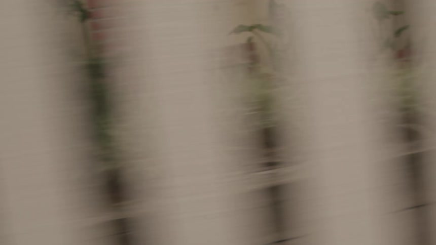 Glimpses of scenery are shown through barrier with regular gaps