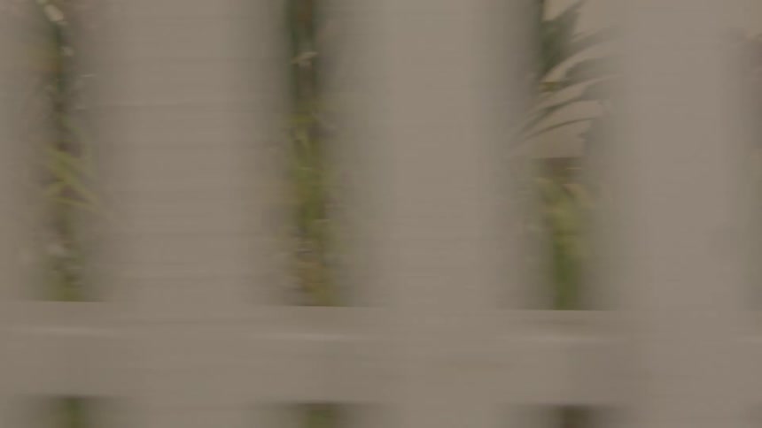 White picket fences sit above a brick wall in a neighborhood