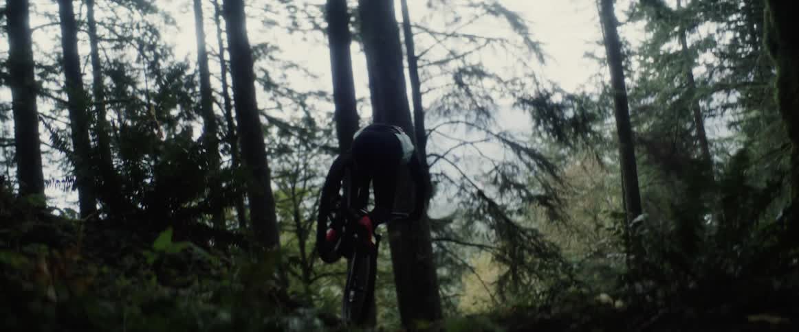 A person rides a motocross bike speeding down the slopes of a mountain through a pine tree forest