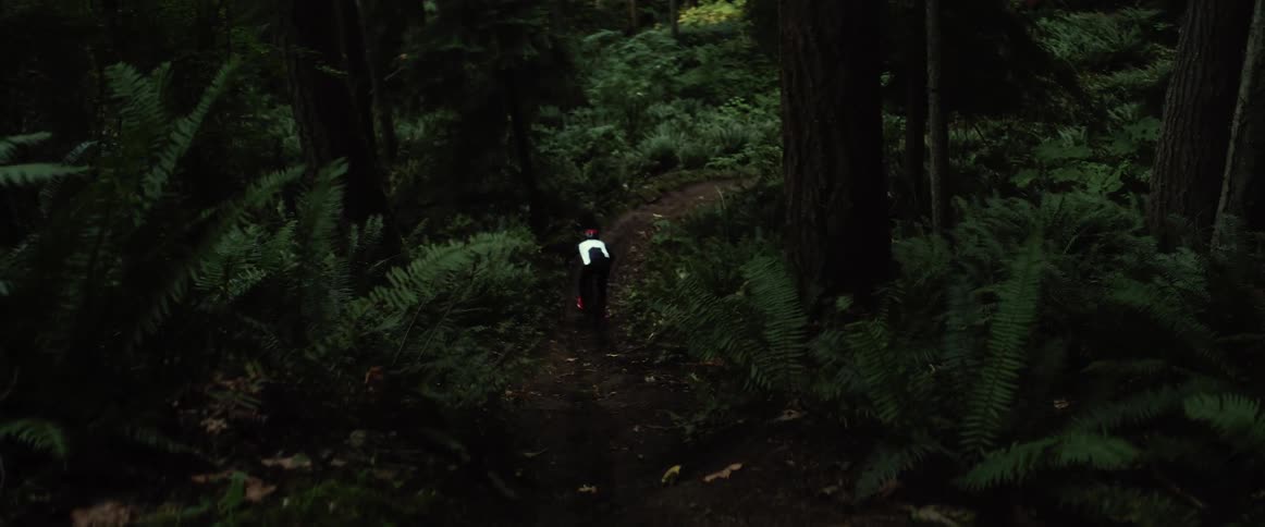 Cyclist with helmet jersey and pants jumps on track in green woods