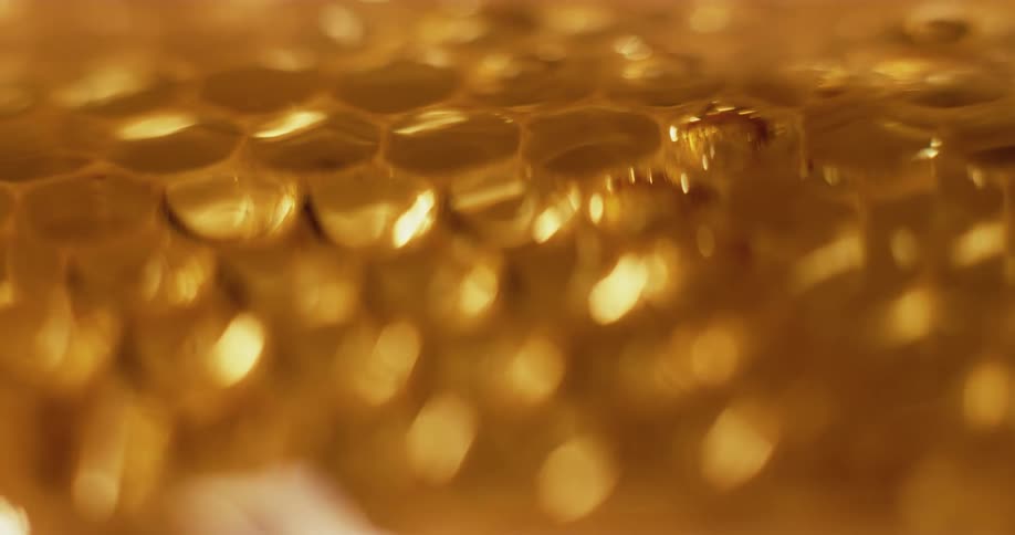 Close up of honeycomb with flowing honey