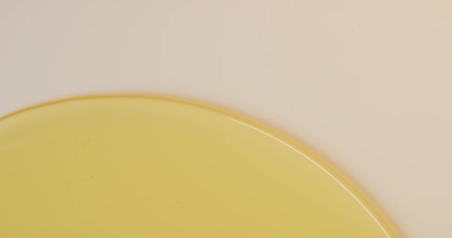 A view of a drop of honey