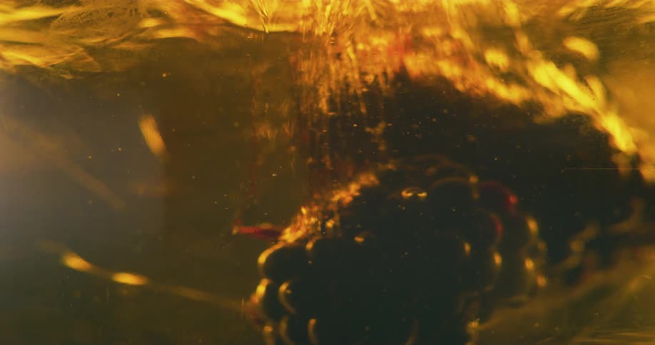 A black berry floating in yellow liquid
