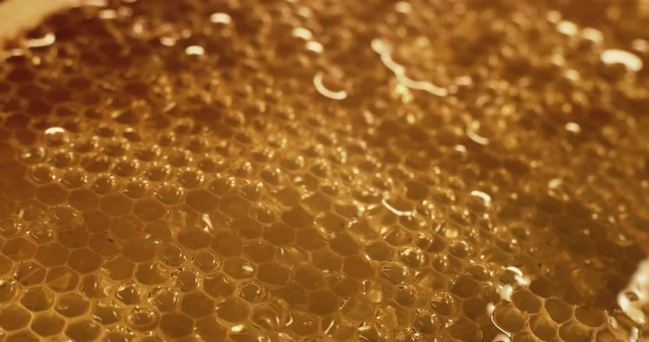 Close up of honeycomb and honey
