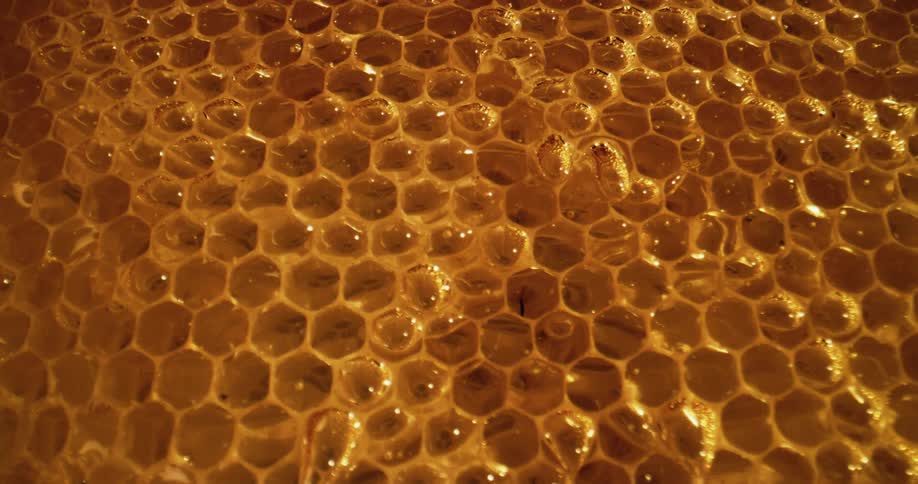 Honey is poured and flows over golden honeycomb