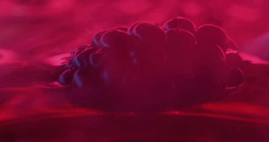 Extreme close up of a berry resting on a sticky surface surrounded by white smoke