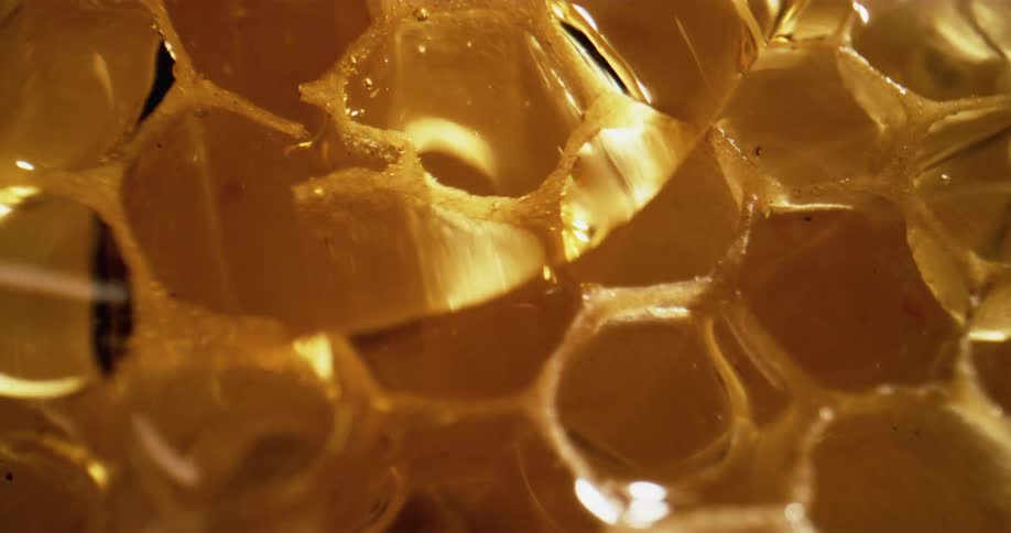 Close up of honeycomb with flowing honey