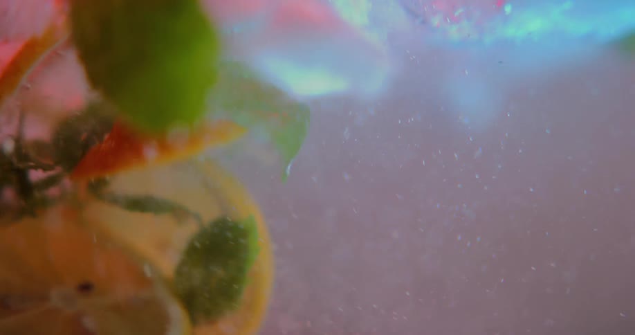 Sliced citrus and herbs are dropped into fizzy liquid