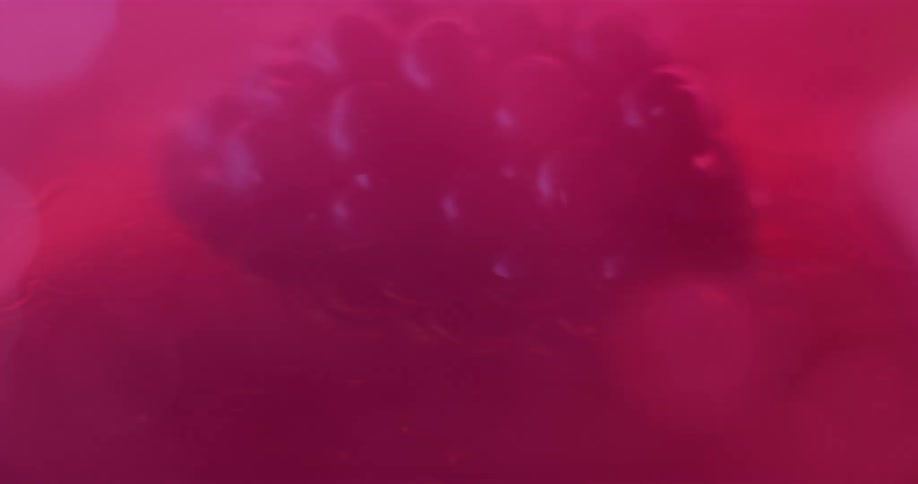 Extreme close up of a berry resting on a sticky surface surrounded by white smoke