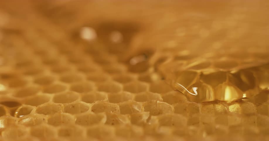 Honey drips from a honeycomb