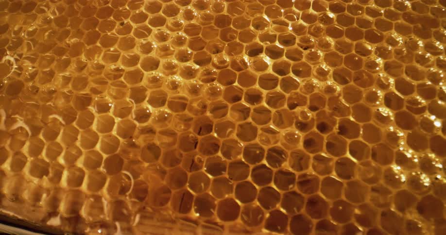Close up of a honeycomb full with honey