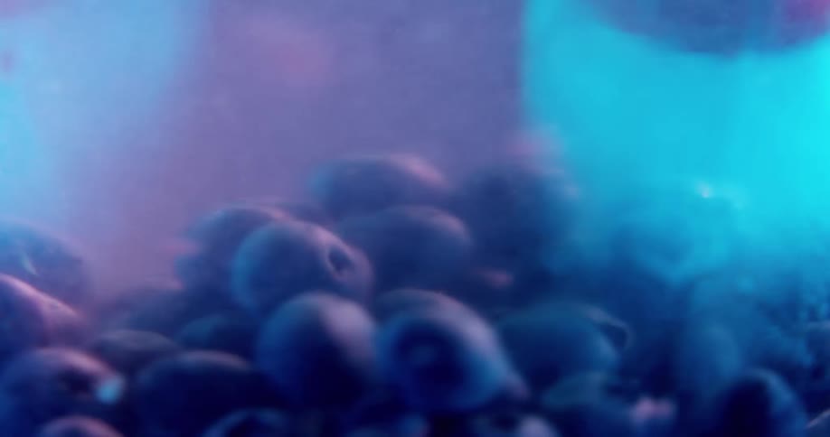 Blueberries spin and float around in a pitcher of water