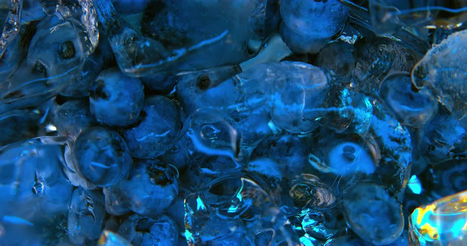 Close up of ice cubes and blueberries