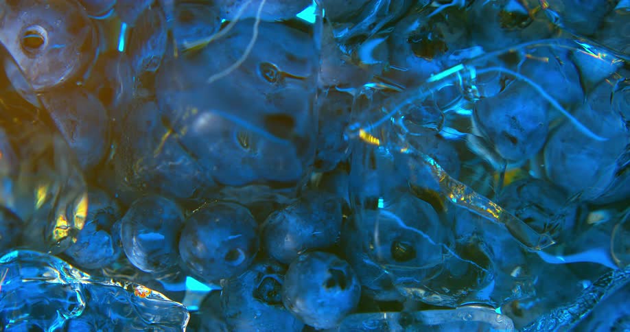 A pile of frozen blueberries and ice
