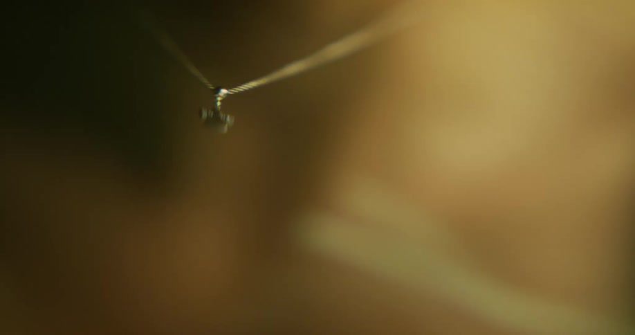 Dangling necklace and neck of wearer is reflected by rippling water